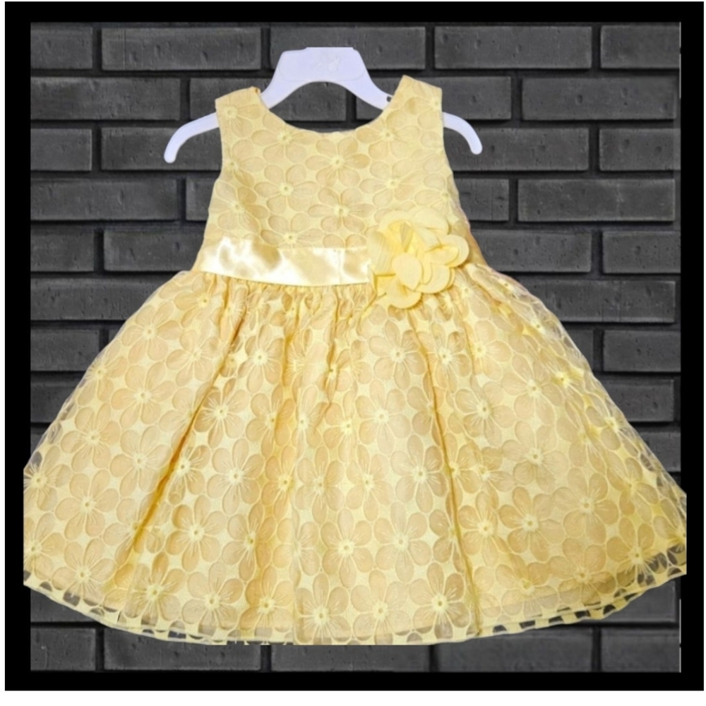Youngland's Toddler Sz 4 Yellow Embroidered Floral Formal/Party Dress
